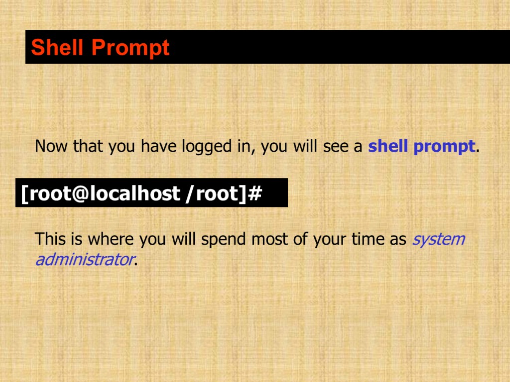 Shell Prompt Now that you have logged in, you will see a shell prompt.